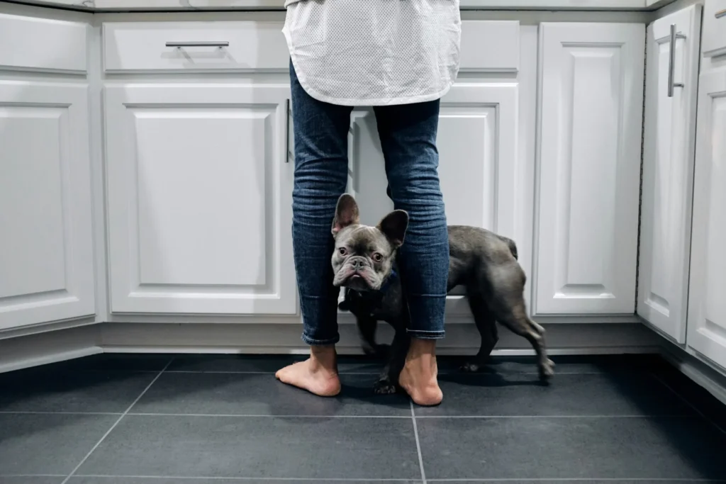 Tile Flooring in Katy, TX