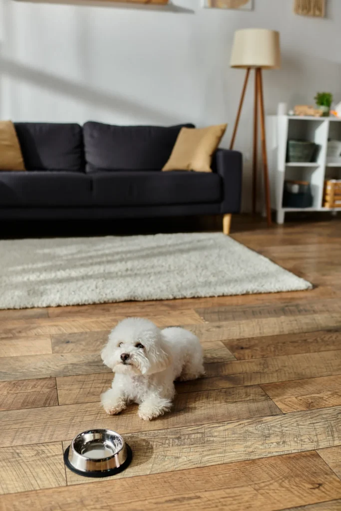 Types of Luxury Vinyl Flooring